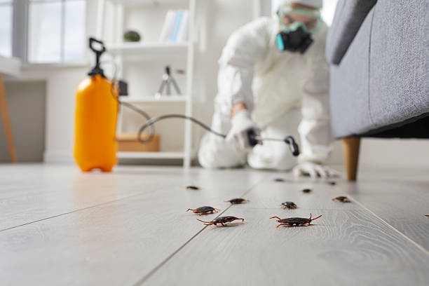 Commercial Kitchen Cockroach Control in Marina del Rey